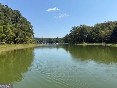 Lot 47 totaling 2.54 acres, with Corps of Engineer property - photo 3