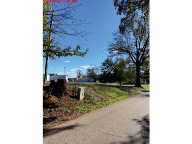 Occupied Property and Utility Usage Disclosure. Buyer - photo 7