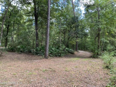 Georges Lake Lot For Sale in Florahome Florida