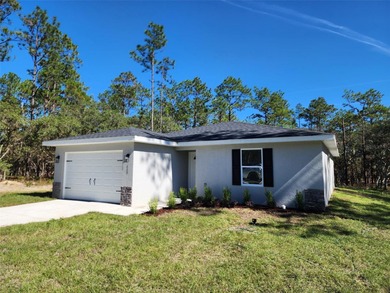 Bonable Lake Home For Sale in Dunnellon Florida