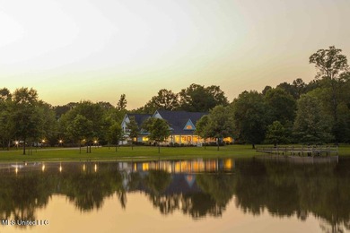 Experience true Southern charm in this stunning 6,437 sq ft - photo 3