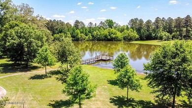 Experience true Southern charm in this stunning 6,437 sq ft - photo 5