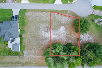 Lake Carrie Lot For Sale in Lake Placid Florida
