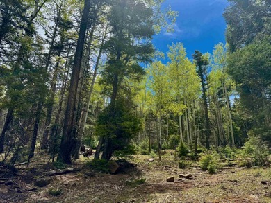 Monte Verde Lake Lot For Sale in Angel Fire New Mexico