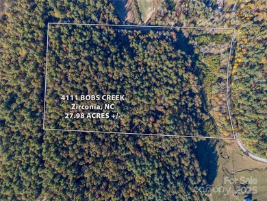 (private lake, pond, creek) Acreage For Sale in Zirconia North Carolina