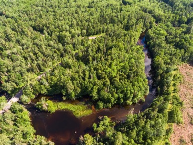 Lake Acreage For Sale in Mercer, Wisconsin