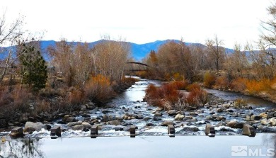 (private lake, pond, creek) Acreage For Sale in Gardnerville Nevada