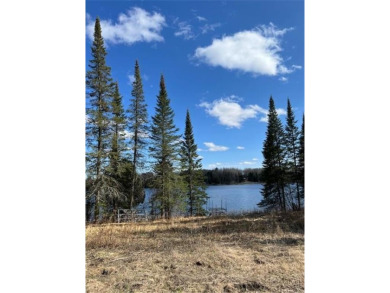 Lake Lot For Sale in Outing, Minnesota