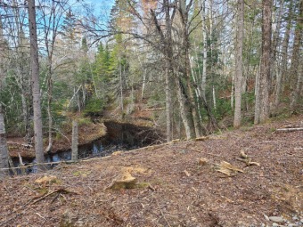 (private lake, pond, creek) Acreage For Sale in Amity Maine