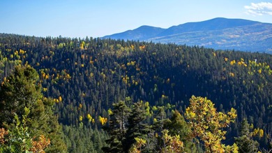 The Ranch at Angel Fire is a rare legacy opportunity to own the - photo 8
