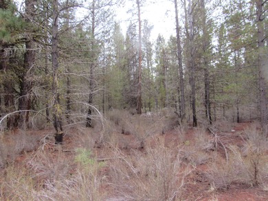 Williamson River Lot For Sale in Chiloquin Oregon
