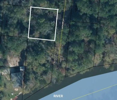 Chipola River - Gulf County  Lot For Sale in Wewahitchka Florida