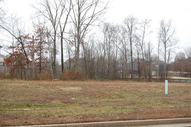 Garner Lake Lot For Sale in Lakeland Tennessee