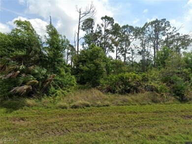 Port Charlotte Waterway Lakes Area Lot For Sale in Port Charlotte Florida