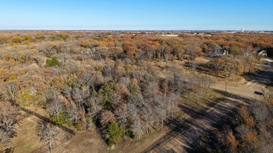 Presented by Harrill Construction, this well-designed custom - photo 18