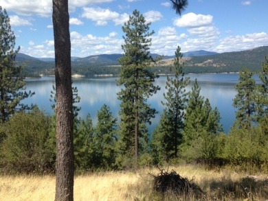 Lake Roosevelt - Stevens County Acreage For Sale in Gifford Washington