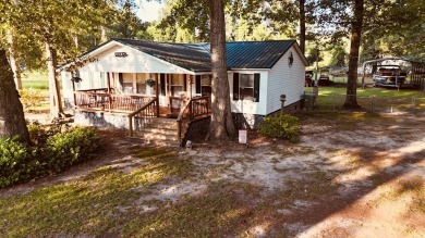 Lake Home For Sale in Georgetown, Georgia