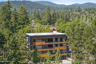 Luxurious penthouse-style condo overlooking the Coeur d'Alene - photo 44