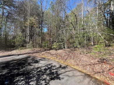 Lake Lot For Sale in Hayesville, North Carolina