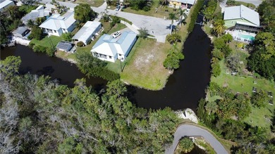 Discover a rare opportunity to build your dream home in Naples' - photo 4