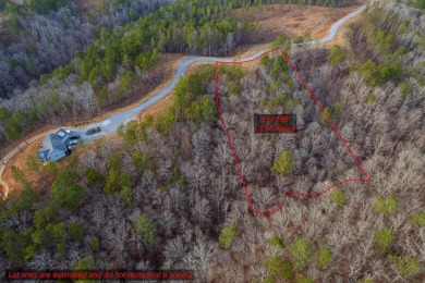 Lake Acreage For Sale in Talking Rock, Georgia