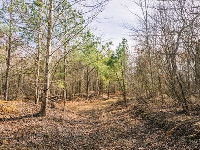 This property is back on the market from 2025 with a significant - photo 18