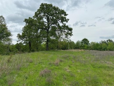 Kerr Reservoir Acreage For Sale in Tamaha Oklahoma