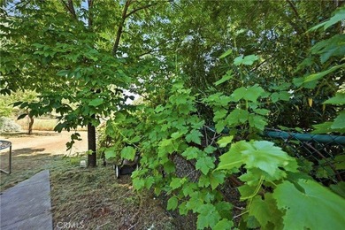 Comfort, Ease, and Spaciousness on Maple Leaf Court. Single - photo 22