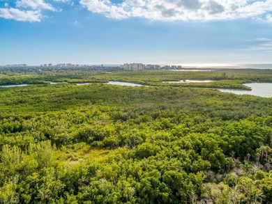 This 18th floor Nevis Penthouse at Cove Towers offers the - photo 39
