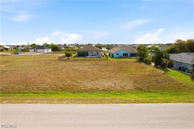 Build Your Dream Home - 217 NW 20th Ave, Cape Coral, FL - Priced - photo 1
