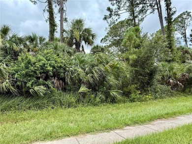 Northport Waterway Lakes and Canals Lot For Sale in North Port Florida