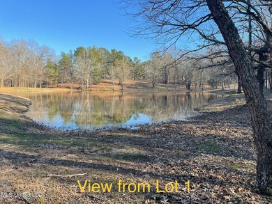 Discover the perfect opportunity to own 2 acres +/- of beautiful - photo 4