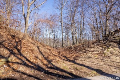 Lake Michigan - Allegan County Lot For Sale in Holland Michigan