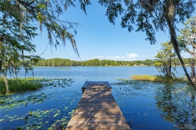 They don't make this this kind of waterfront anymore! Over 15 - photo 51