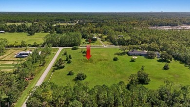 Incredible opportunity to build your dream home on 5 CLEARED - photo 5
