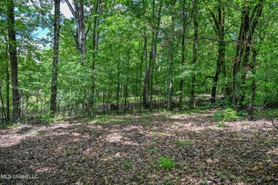 Discover the perfect opportunity to own 2 acres +/- of beautiful - photo 5
