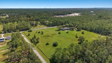 Incredible opportunity to build your dream home on 5 CLEARED - photo 8