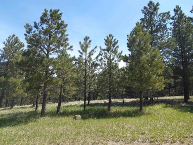 Monte Verde Lake Acreage For Sale in Angel Fire New Mexico