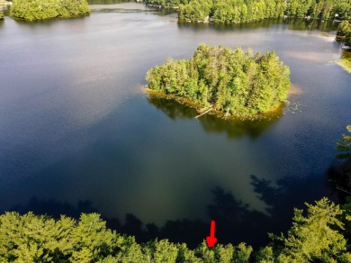 Lake Acreage For Sale in Gleason, Wisconsin