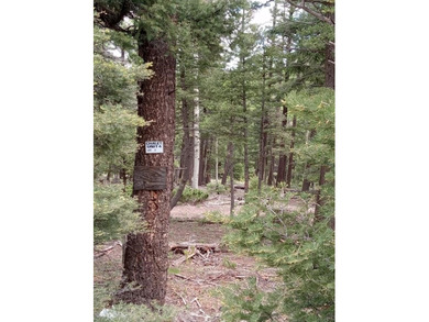 Monte Verde Lake Lot Active Under Contract in Angel Fire New Mexico