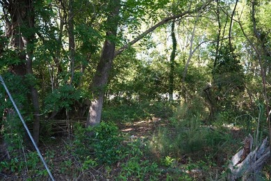 Nine parcels on 1.75 acres in the city of Georgetown! Mixed with - photo 15