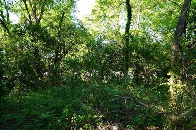 Nine parcels on 1.75 acres in the city of Georgetown! Mixed with - photo 18