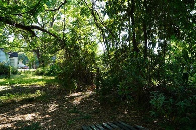 Nine parcels on 1.75 acres in the city of Georgetown! Mixed with - photo 22