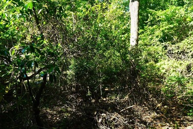 Nine parcels on 1.75 acres in the city of Georgetown! Mixed with - photo 23