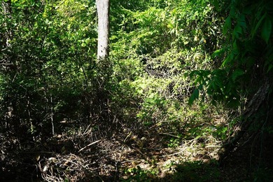 Nine parcels on 1.75 acres in the city of Georgetown! Mixed with - photo 24