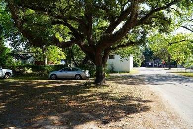 Nine parcels on 1.75 acres in the city of Georgetown! Mixed with - photo 36