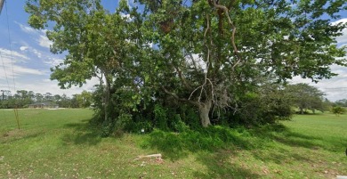 WELCOME TO BEAUTIFUL BURNT STORE LAKES on FLORIDA'S GULF COAST: - photo 2