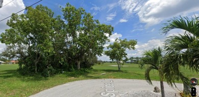 WELCOME TO BEAUTIFUL BURNT STORE LAKES on FLORIDA'S GULF COAST: - photo 3