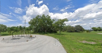 WELCOME TO BEAUTIFUL BURNT STORE LAKES on FLORIDA'S GULF COAST: - photo 5