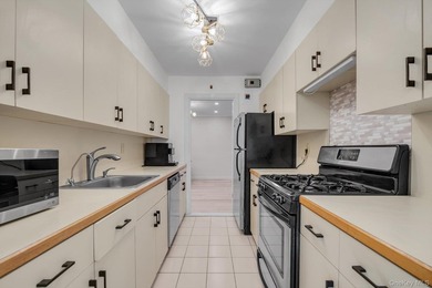 Lovely 2 Bedroom, 1 Bath First Floor Coop Apt in the Beautiful - photo 7